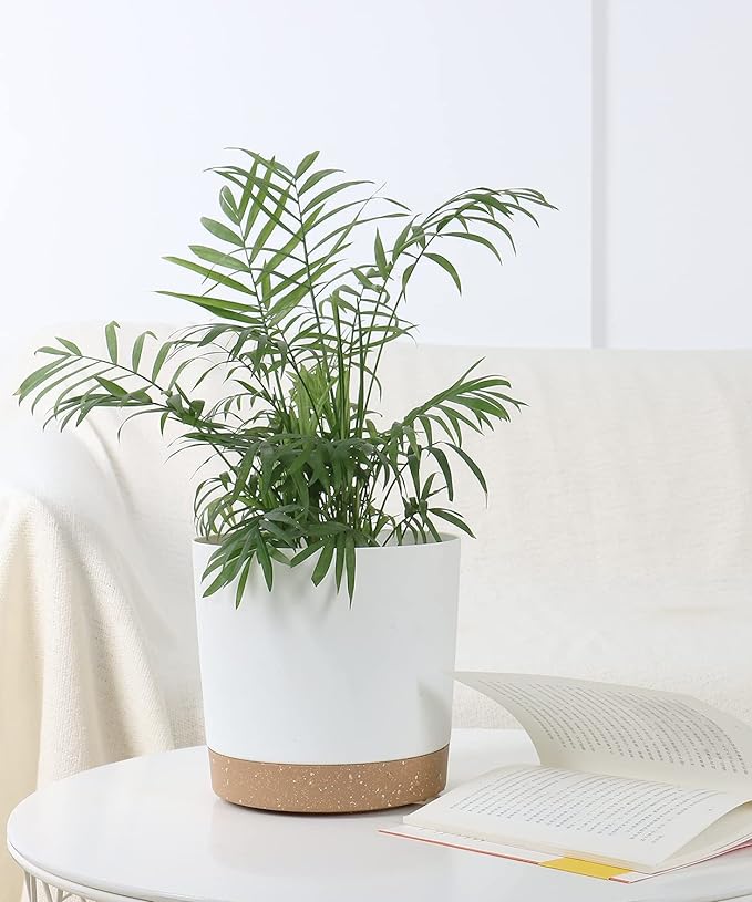 kubvici 8'' Plastic Flower Planter Pots Set of 2 Indoor Outdoor Planters - Image 7