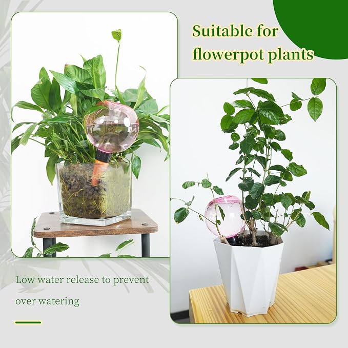 3pcs Large Plant Self Watering Globes, 17.5 oz Plastic Water Bulbs Top Fill - Image 5