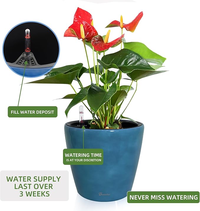 Dexceder 11x10 Inches Self Watering Planter Indoor Outdoor, Inner Pot Design - Image 5