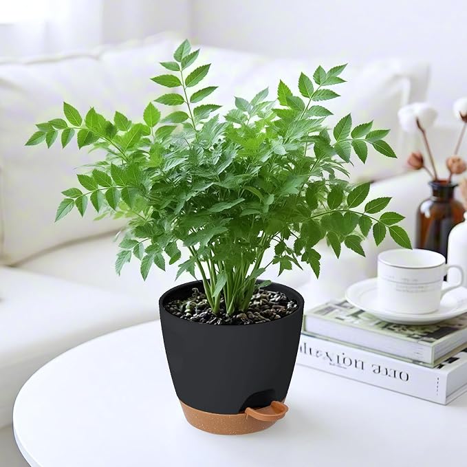 6-Pack Plant Pots with Drainage 5 Inch, Self Watering Pots - Image 6