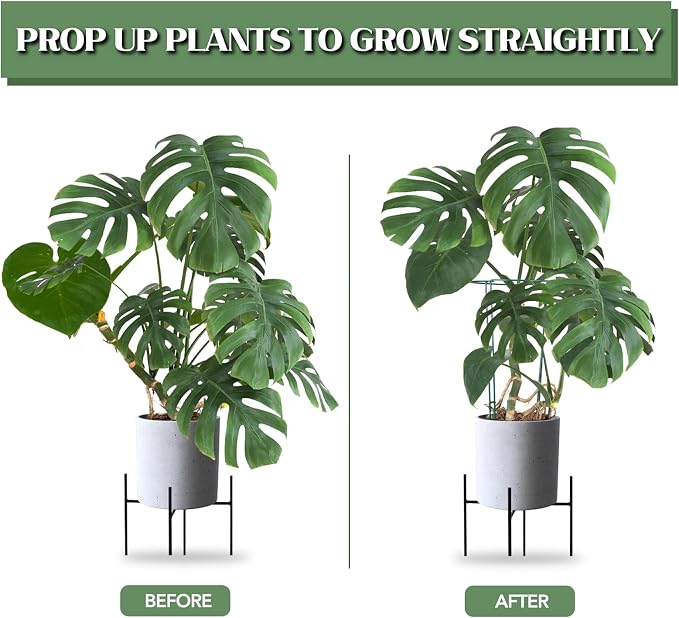 Joyhalo 6 Pack Plant Support Stakes, 16 Inch Peony Cages and Supports, Flower - Image 2