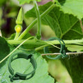 Winmany 100PCS Plant Support Garden Clips Tomato Supports/Connects by Winmany