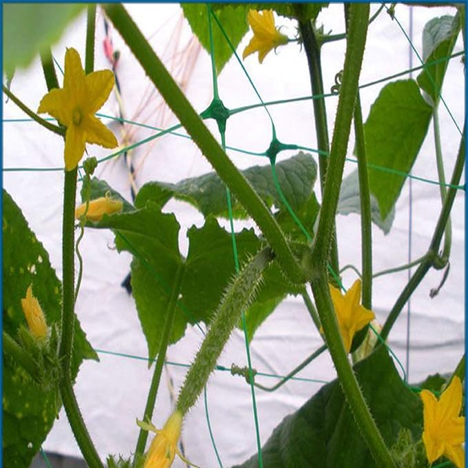 Green Polypropylene Garden Trellis Netting 6.5x100 ft, Heavy Duty Plant Support - Image 4