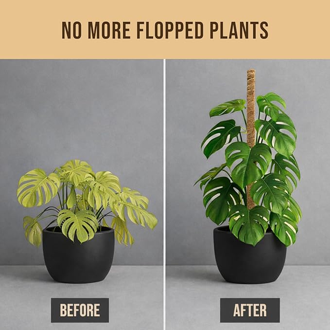 Moss Pole Monstera Plant Support – 48” Bendable Moss Pole Monstera Plant Support - Image 7