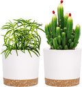 QCQHDU 5 inch Plant Pot, 2 Pack Planters by QCQHDU