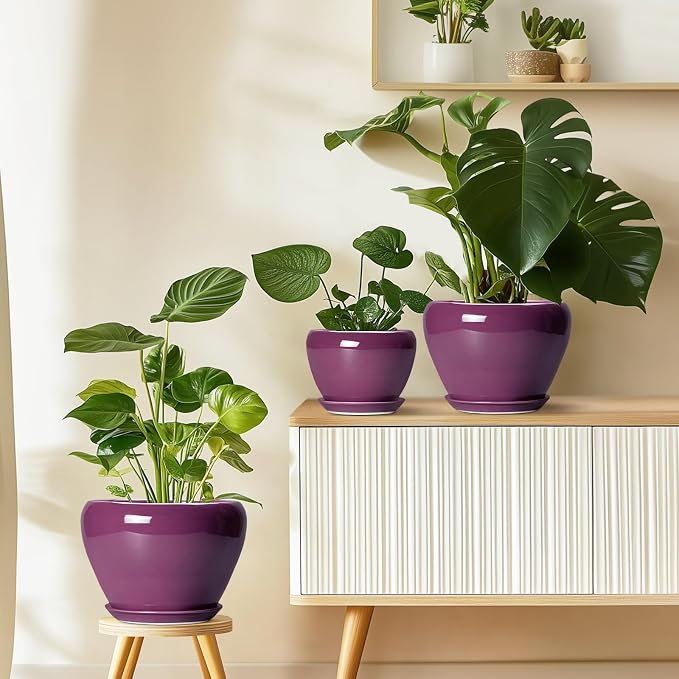 Ceramic Pots for Plants 6 Inch - Image 7