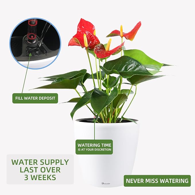 Dexceder 13x12 Self Watering Planter - Image 5