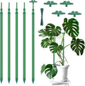 Extendable Plant Stakes, Length Scalable from 17.9IN to 42.3IN Plant Support by BOVITRO
