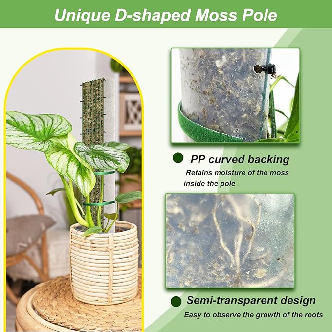 24" Metal Moss Pole, D Shape Sphagnum Moss Pole, Moss Poles - Image 3