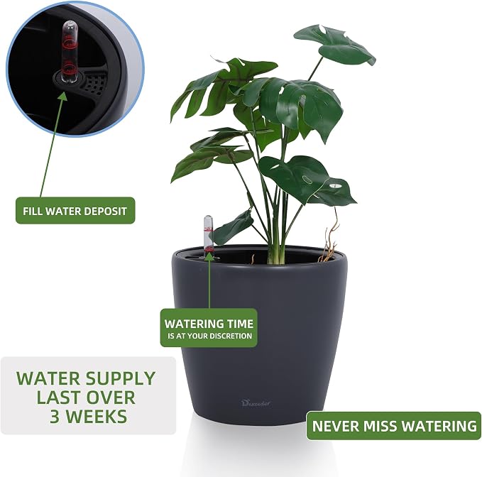 Dexceder 9x8 Inches Self Watering Planter Indoor Outdoor, Inner Pot Design - Image 5