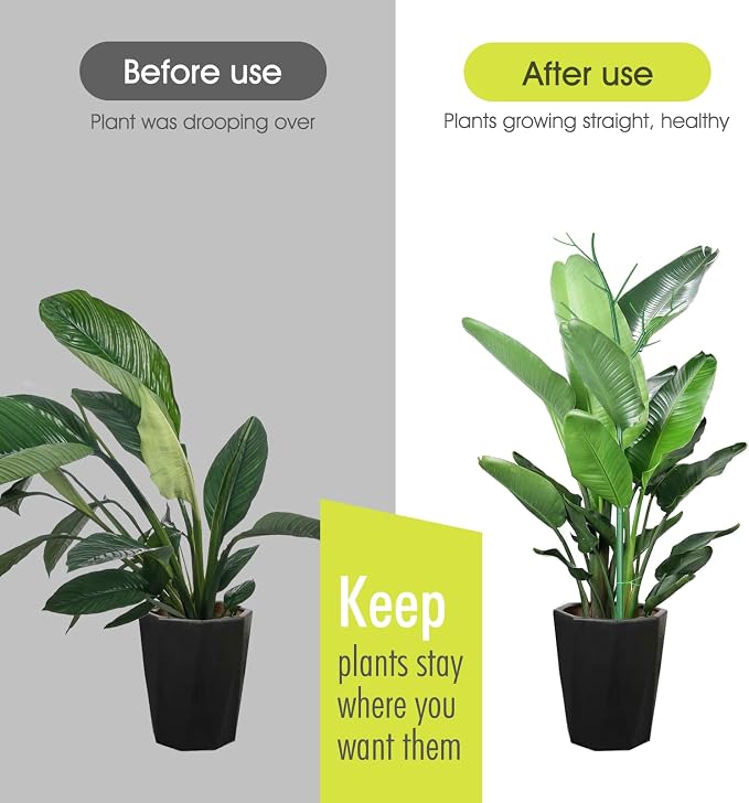 6 Pack Plant Support Stakes for Indoor Plants, 27.56 Inch Twig Plant Sticks - Image 5