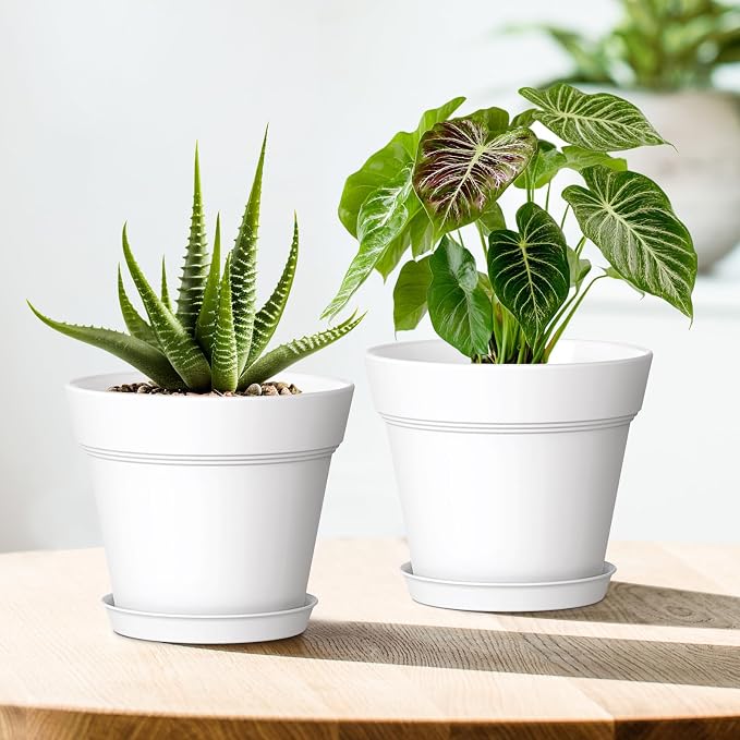 4 Inch Plastic Plant Pots with Drainage Holes and Trays – 8 Pack Small Nursery - Image 6
