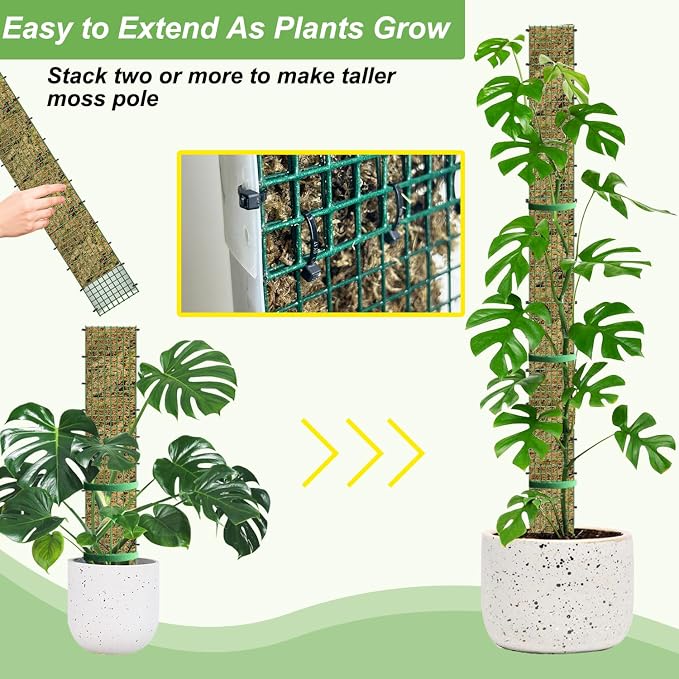 40" Metal Moss Pole, D Shape Sphagnum Moss Pole, Moss Poles - Image 4