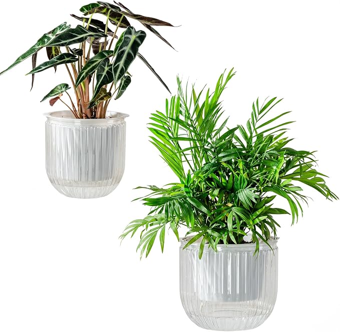 Melphoe Self Watering Pots for Indoor Plants Planter, 6.5/5.3 Inch 2 Pack by Melphoe