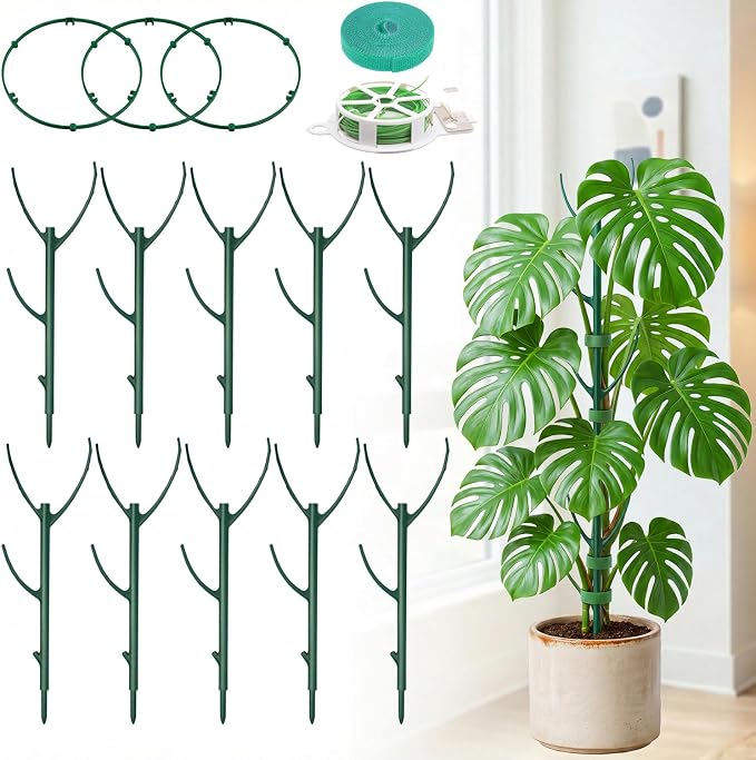 30-Pack Monstera Plant Support Stakes by Unijoy