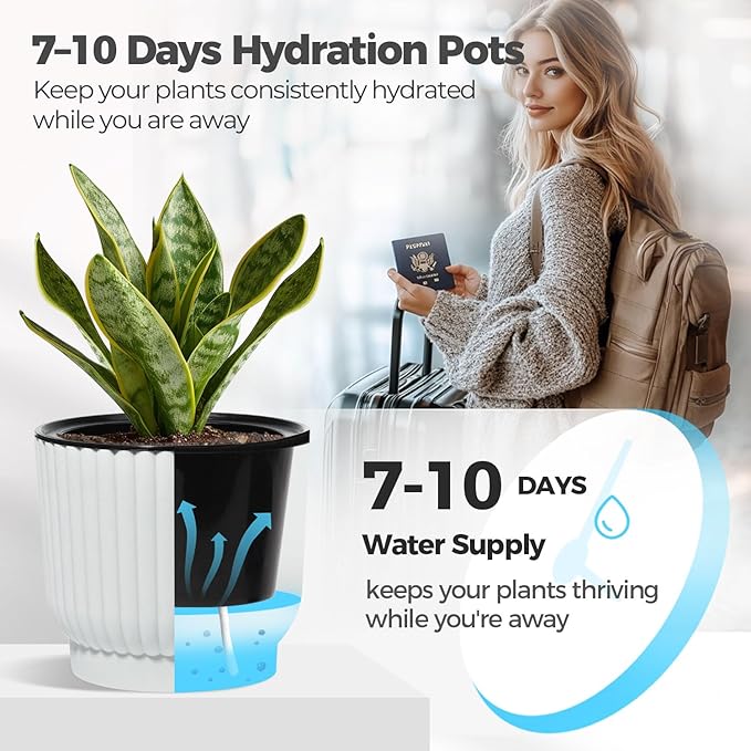 T4U 4.5 Inch Plant Pots Self Watering, 6 Pack African Violet Pots, Small Plant - Image 4