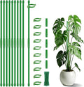 Plant Stakes 17 inch SupKing Support Stick Orchid Stakes by SupKing