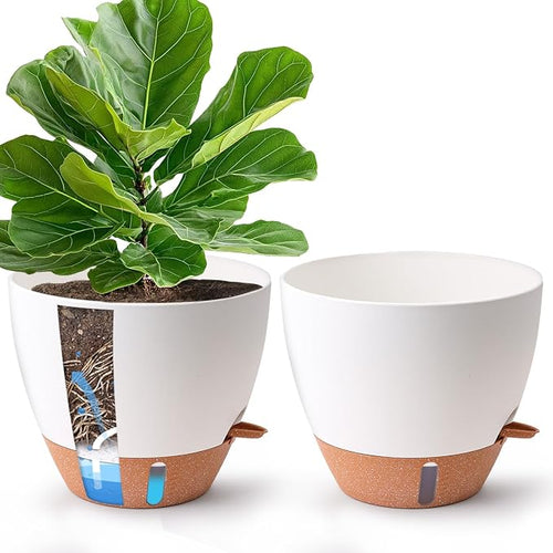 2 Pack 10 Inch Self Watering Pots by T4U