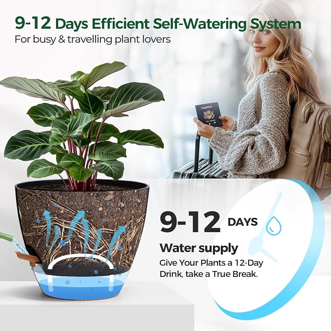 T4U 12 Inch Self Watering Pot - Image 5