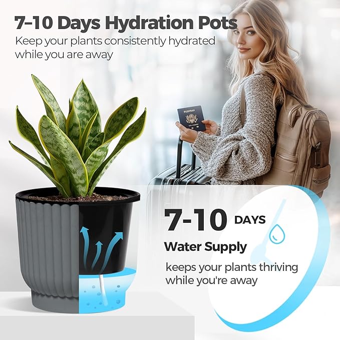 T4U 4 Inch Plant Pots Self Watering, 6 Pack African Violet Pots, Small Plant - Image 4