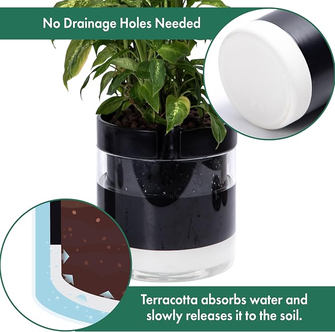Phoenix Vine 10 Inch Self Watering Terracotta Planter - Image 5