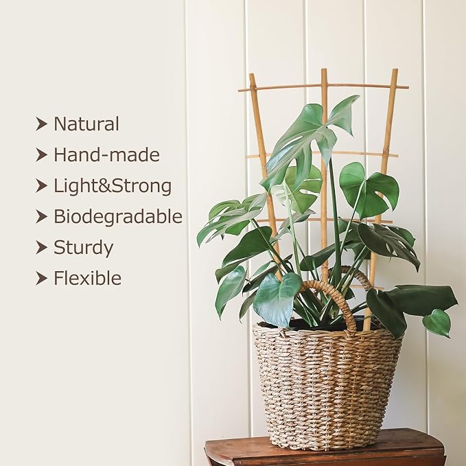 Bamboo Trellis 10 Pack, 16in Fan-Shaped Plant Trellis Indoor - Image 3