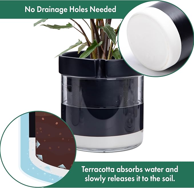 Phoenix Vine 8 Inch Self Watering Terracotta Planter - Image 5