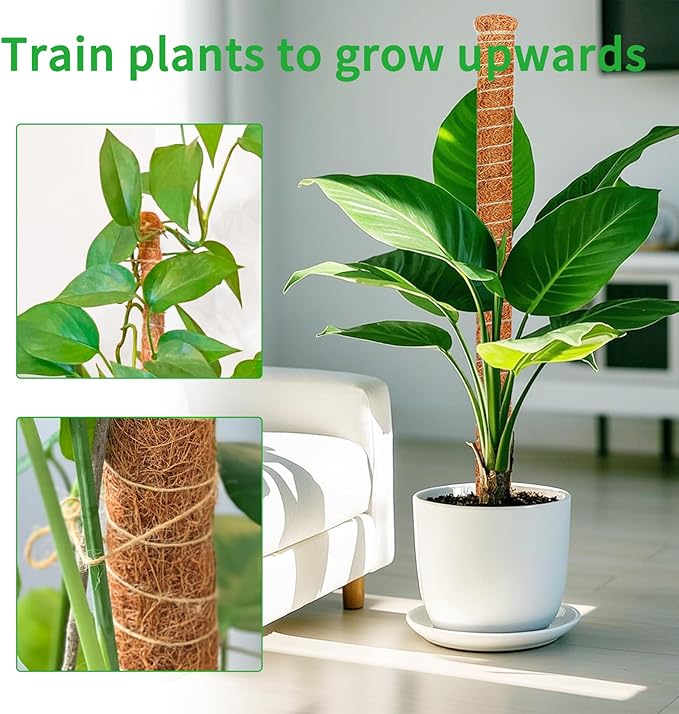 2 Pack 60 Inch Moss Pole Monstera Plant Support, Coir Moss Poles - Image 3