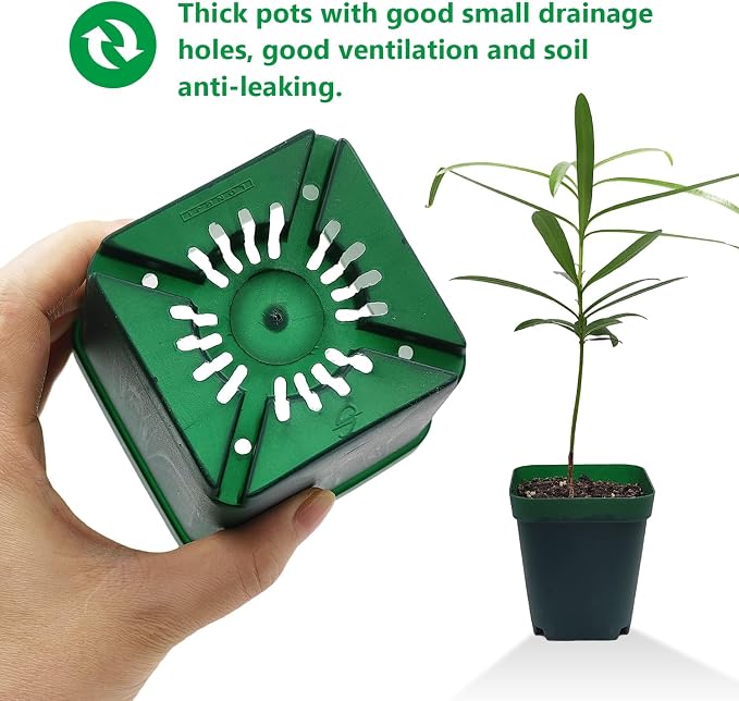 Square Seedling Nursery Pots 3.15 Inches 100 Pcs - Image 5