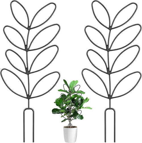 2 Pcs Plant Trellis Indoor, Plant Support by Unknown