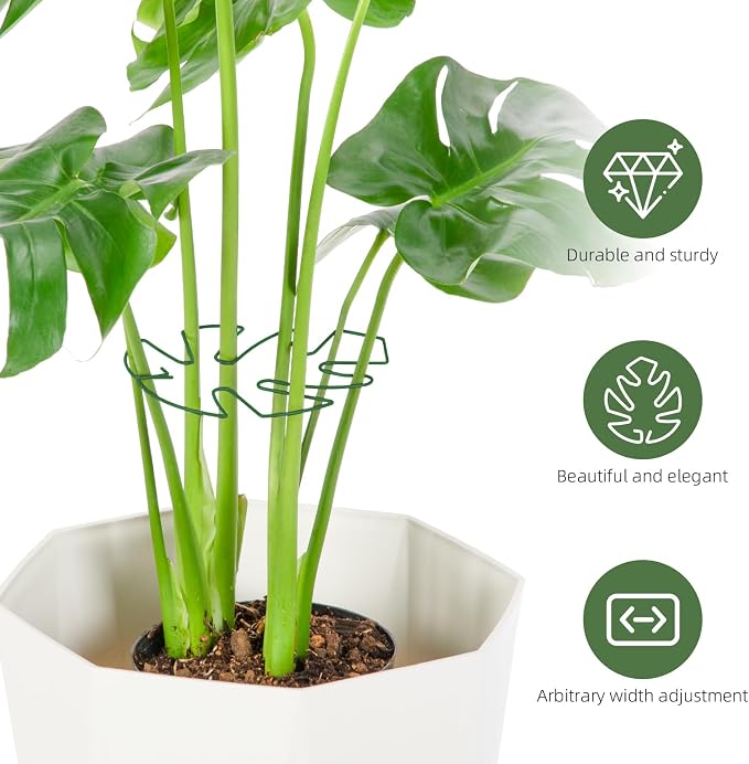 6PCS Iron Monstera Plant Support, Uniquely Designed Indoor Plant Accessories - Image 4