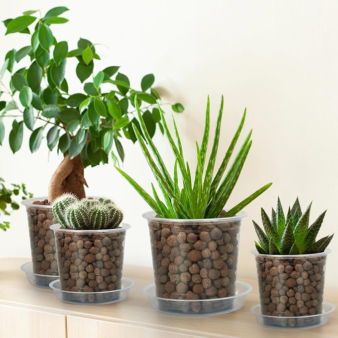 6 Inch Clear Nursery Pots for Plants - Image 6