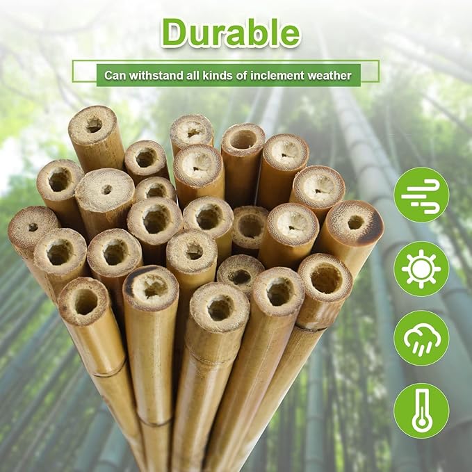 25pcs 1/2" D Thicker Heavy Duty Bamboo Stakes, 4.75FT Plant Stakes, Natural - Image 4