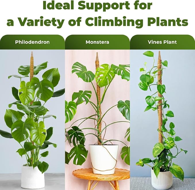 2 Pack 63 Inch Bendable Moss Pole Monstera Plant Support Stakes - Image 4