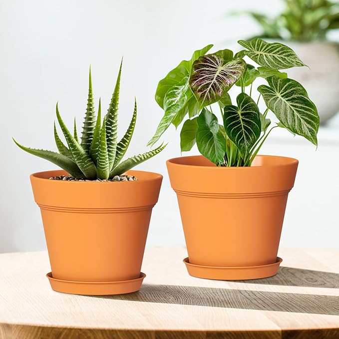 6 Inch Thick Plastic Plant Pots - Image 6