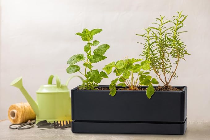 D'vine Dev 12 Inch Window Box Planter, Rectangle Plastic Herb Planter - Image 7
