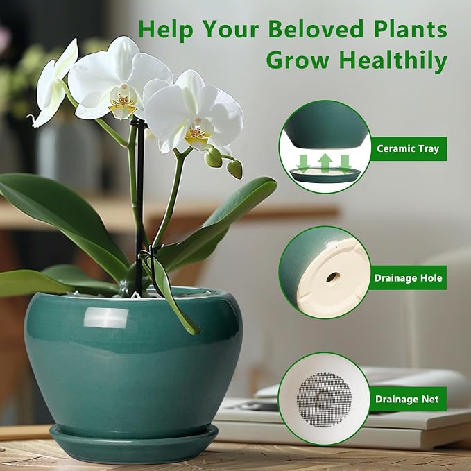 Ceramic Planter for Indoor Plants 10 Inch - Image 5