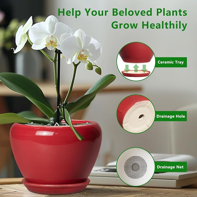 6 Inch Plant Pot - Image 5