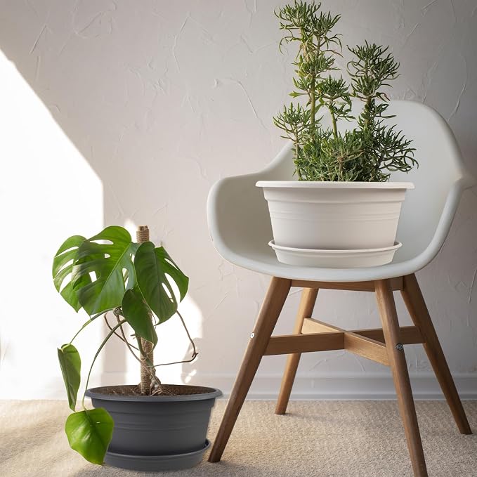 6 Pack 10 inch Plant Pot, Outdoor Pots - Image 6