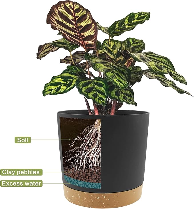 QCQHDU 6.5 inch Plant Pot, 2 Pack Planters - Image 4