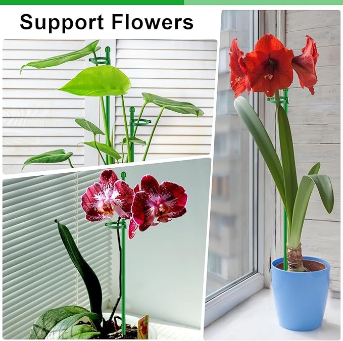 30Pcs Plant Support Stakes 17 inch SupKing Garden Orchid Sticks Extended to 3ft - Image 6