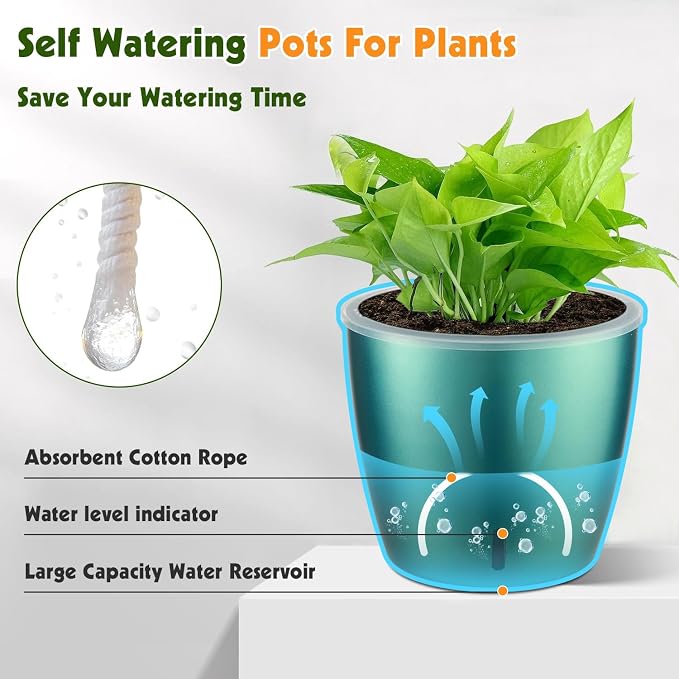 Self Watering Pots for Indoor Plants, Small African Violet Pots - Image 5