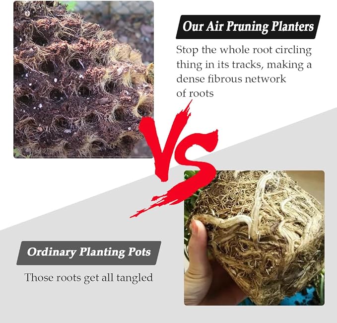 14 Gallon Air Pruning Planters, Plastic Pots - Image 6