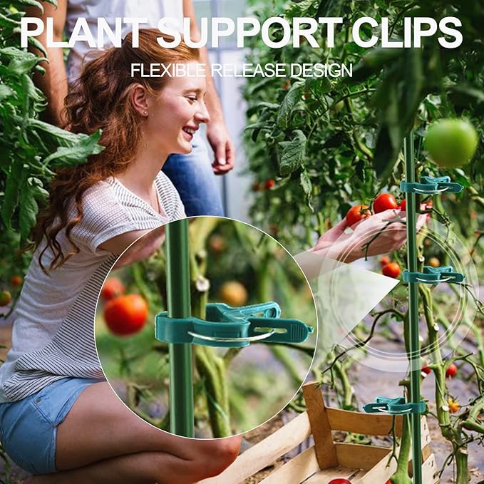 80 Pcs Plant Support Clips, Flower and Vine, Garden Tomato Plant Support Clips - Image 5