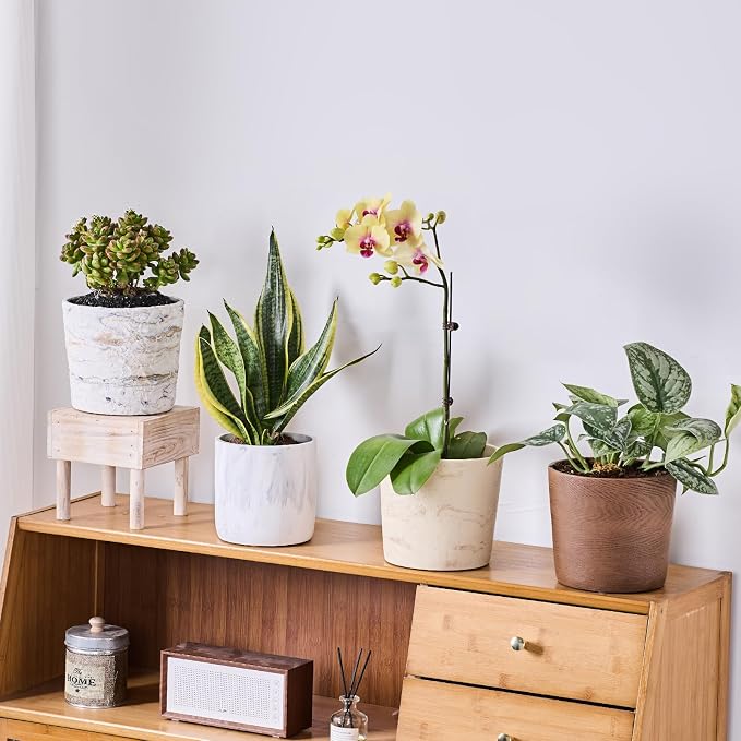 Ekirlin 6 Inch Resin Plant Pot Indoor - Image 7