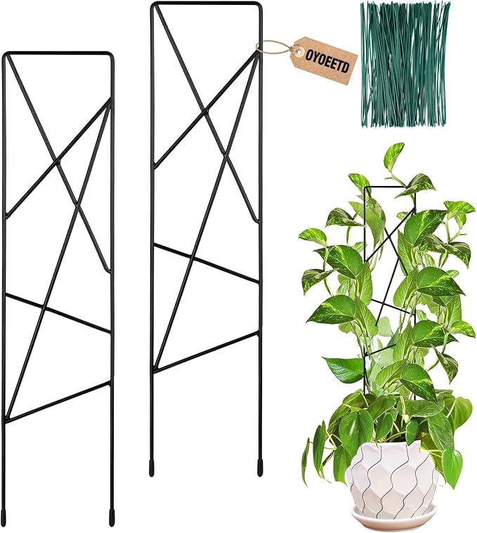 17.5 Inch Indoor Plant Trellis for Climbing Plants, Metal Trellis, Small Garden by OYOEETD