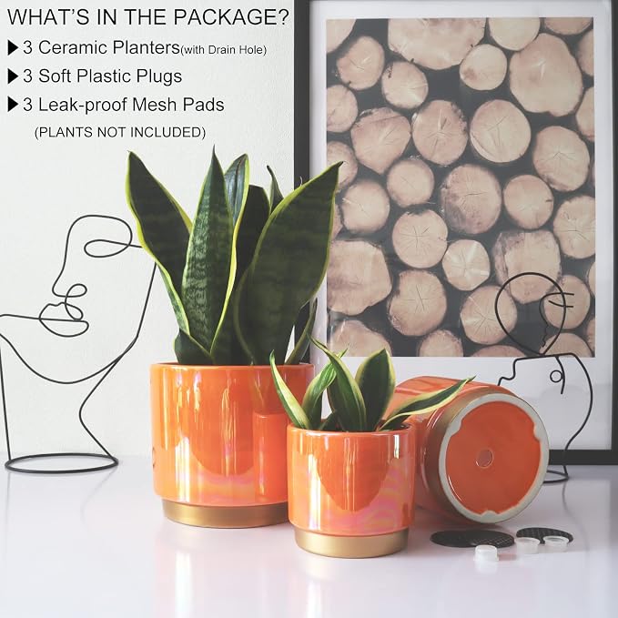 Gepege Ceramic Indoor Pots for Plants, Rainbow Pearl Glaze Planter - Image 3
