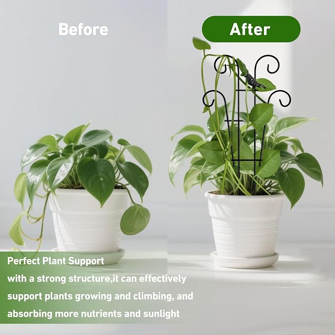 Coomin 14.5 Bird Indoor Plant Trellis - Image 6