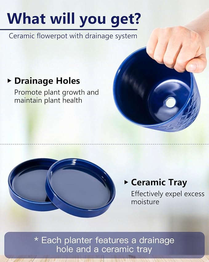 BUYMAX Ceramic Plant Pots –5 inch Indoor Flower Pot - Image 5