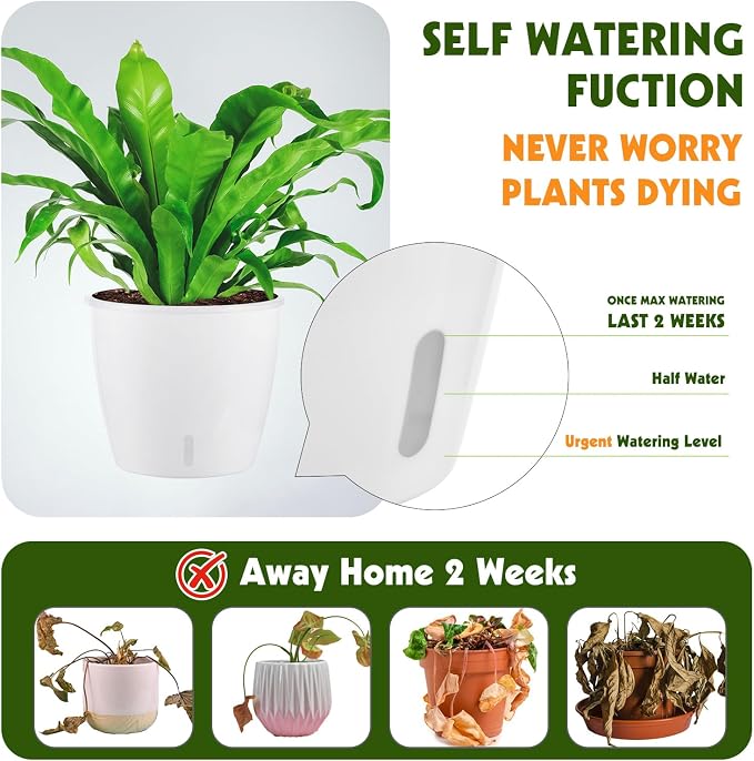 Self-Watering Pots for Indoor Plants, Small African Violet Pots - Image 2